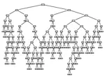 Decision Trees